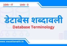 Database Terminology