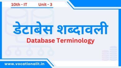 Database Terminology