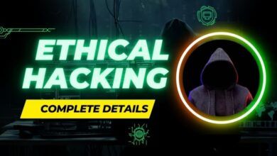 ethical hacking career