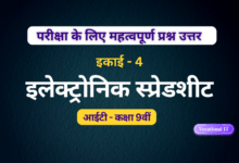 electronic spreadsheet