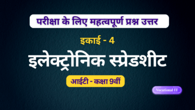 electronic spreadsheet